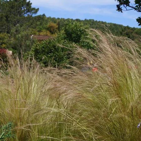 Les Jardins De Santa Giulia - Charmante Dhte