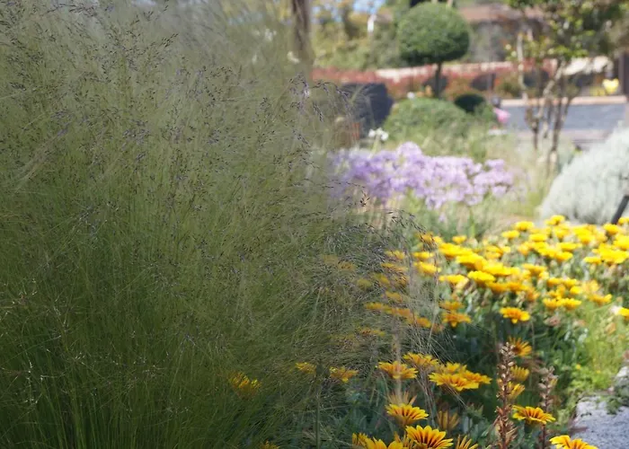 Les Jardins De Santa Giulia - Charmante Dhte Gæstehus