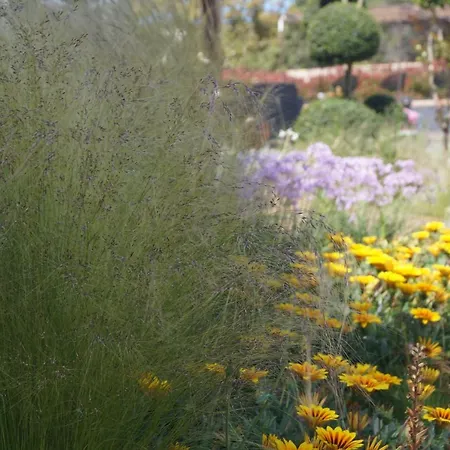 Les Jardins De Santa Giulia - Charmante Dhte 게스트하우스