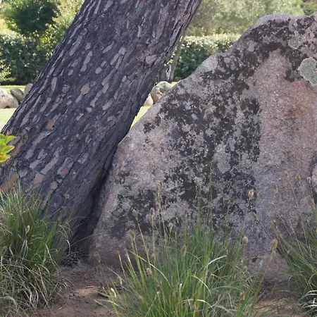 Les Jardins De Santa Giulia - Charmante Dhte 3* 포르토베쉬오